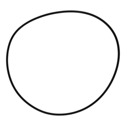 Monster Pump Body O'ring