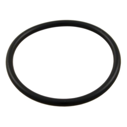 Aqua-Flo Circ Master union o'ring