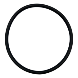 Onga LTP/PPP Pump Lid O'ring