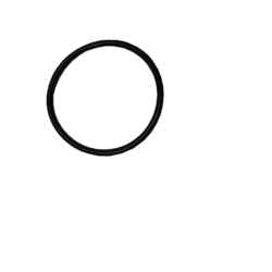 Pulsar/2095 element O'ring