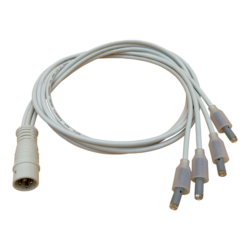 Rising Dragon 4 Wire Quad POL LED Lighting