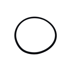 Sensapool SF Pump Body O'Ring